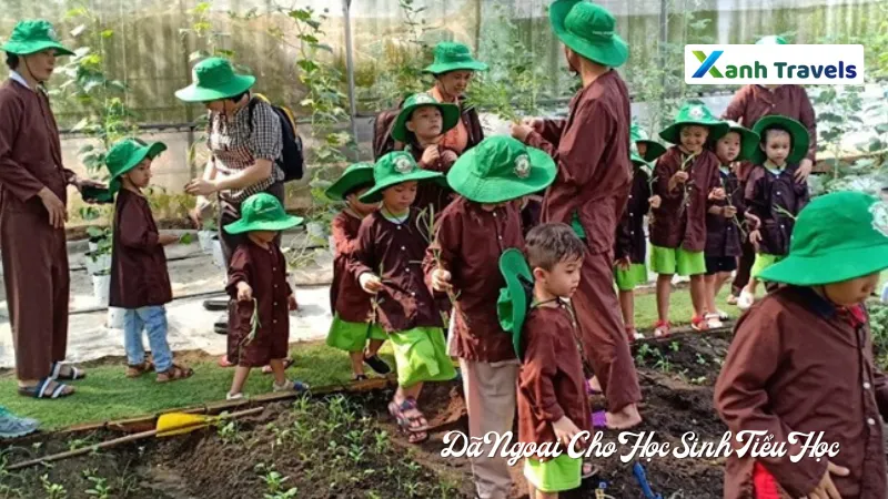 Khu sinh thái Nông Trại Ong Vàng - Điểm Dã Ngoại Cho Học Sinh Tiểu Học TPHCM