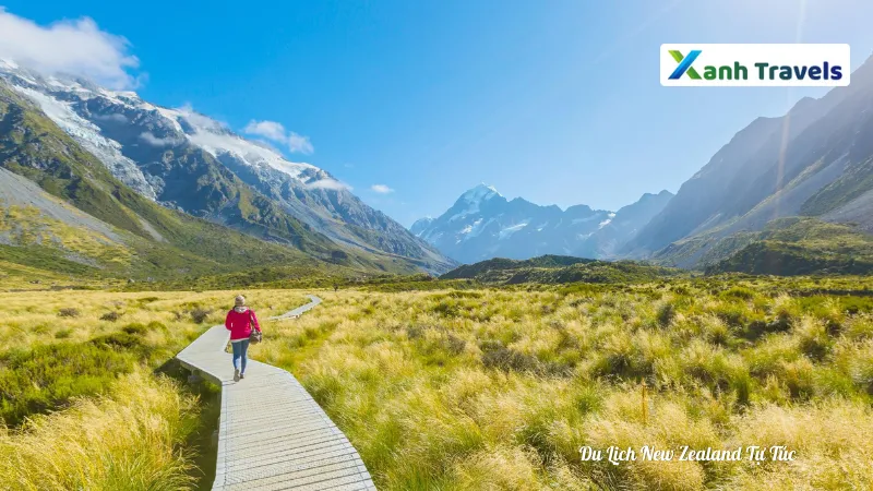 Gợi ý lịch trình du lịch New Zealand tự túc 7 ngày