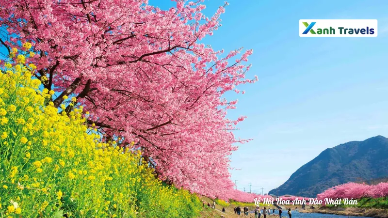 Những địa điểm ngắm Hoa Anh Đào Đẹp Nhất Ở Nhật Bản