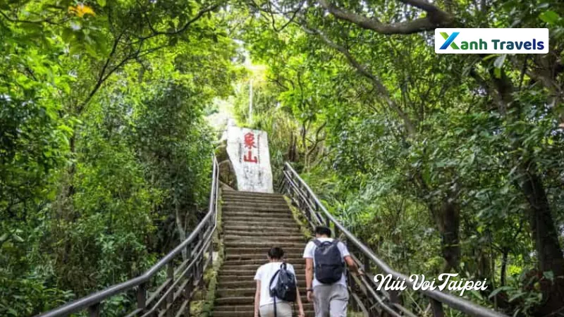 Vé vào cửa núi Voi Taipei là bao nhiêu?